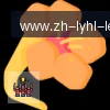 乐鱼体育 logo