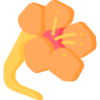 乐鱼体育 logo